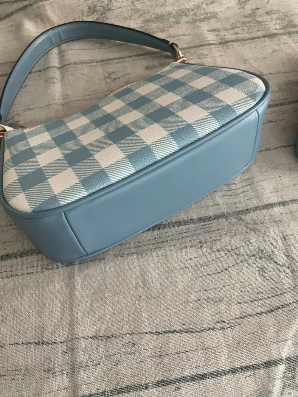 Coach Blue and White Checkered Crescent Underarm Bag